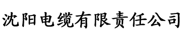 大家好我叫林小喜免费全文电缆厂logo